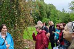 438112449_919879839914423_7575285673530470000_n