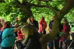 438115626_816026760457951_6054414916018215344_n-1